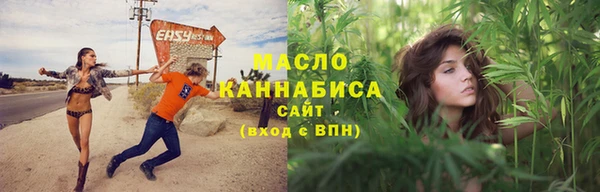 прущие грибы Абаза