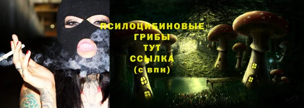 прущие грибы Абаза