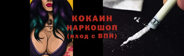 прущие грибы Абаза