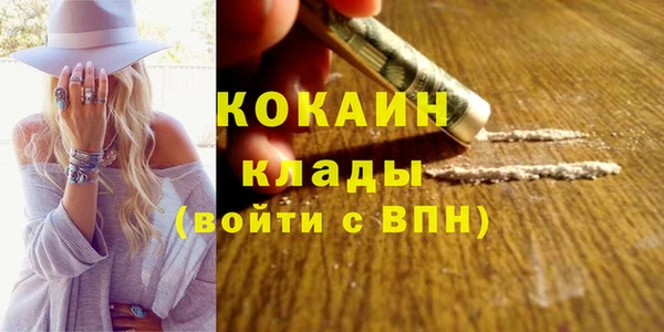 прущие грибы Абаза