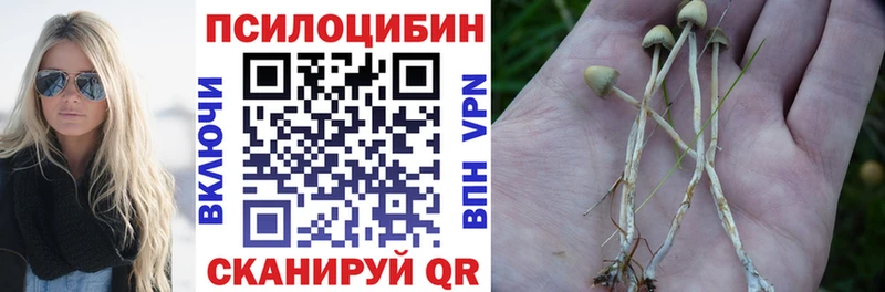 купить   ОМГ ОМГ   Галлюциногенные грибы GOLDEN TEACHER  Бирюч 